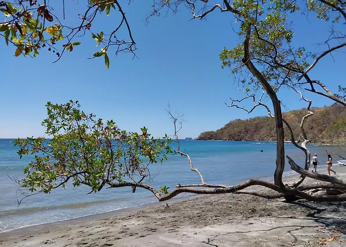 Casa Olas - Oceanview, Club Included, Plunge Pool, Steps To Playa Danta